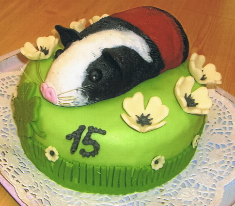 24